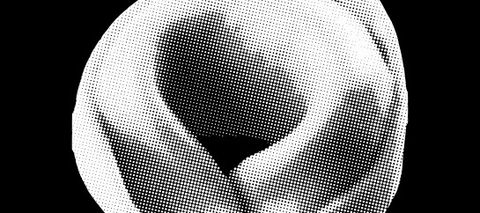 A black and white tortellino.